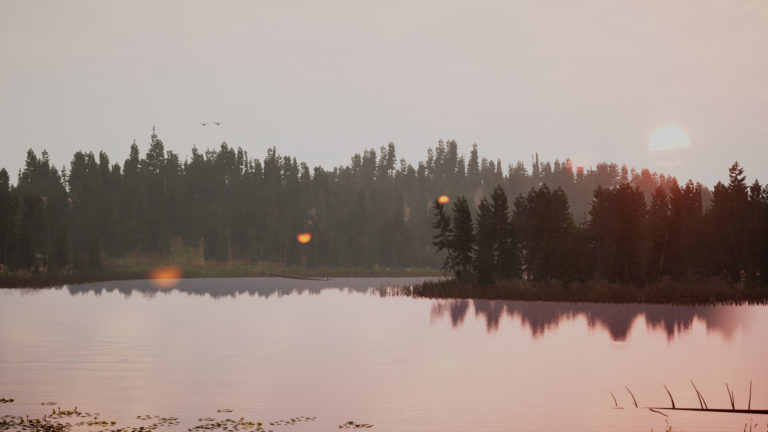 Landscape_2022_01_10-00242-768x432.jpg