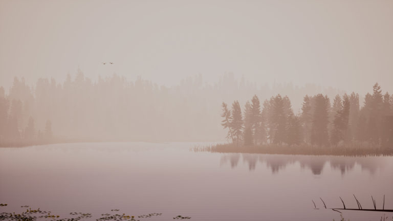 Landscape_2022_01_10_Fog-00242-768x432.jpg